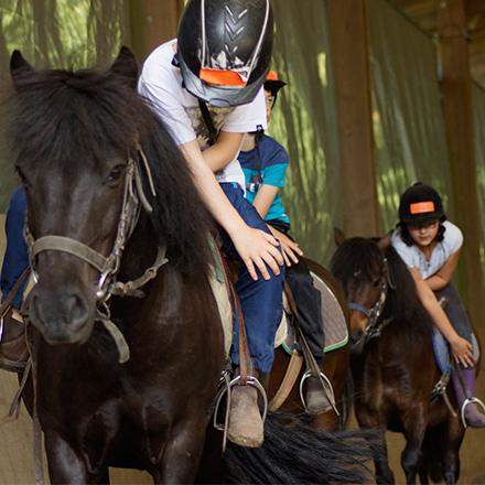 Equitation et environnement au Croux