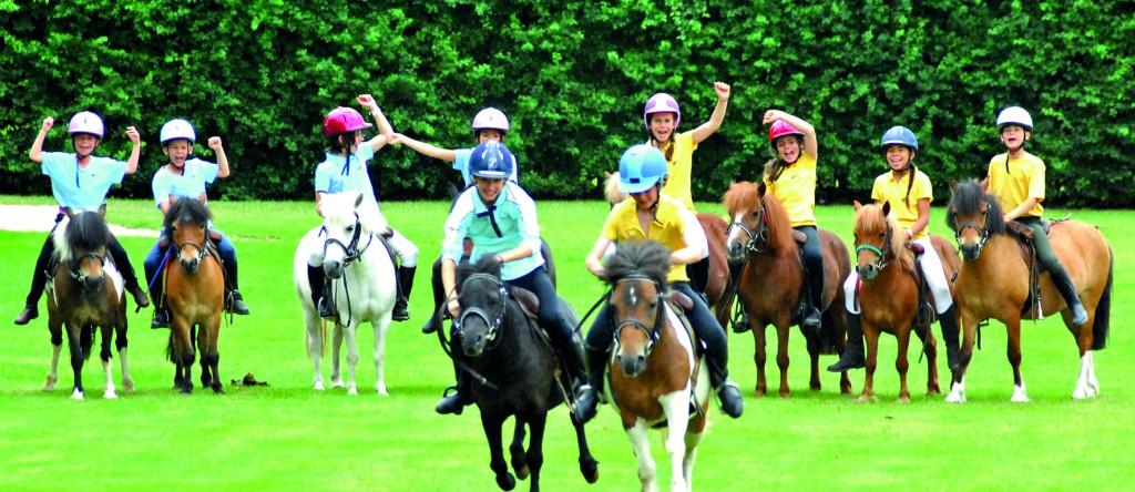 Domaine de Chevillon : Equitation Passion