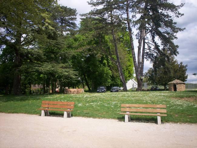 photo2