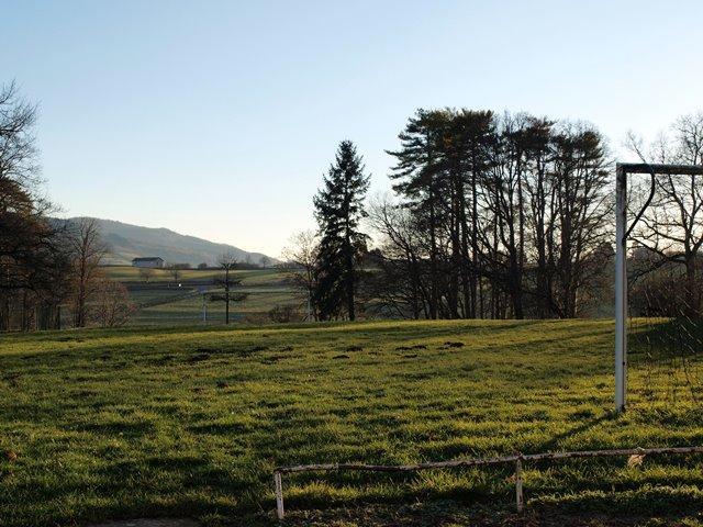 photo2