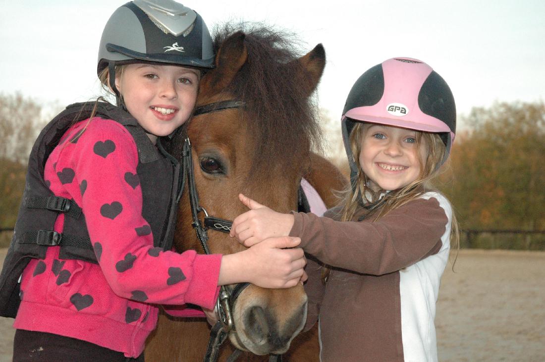 Domaine Equestre de Chevillon : Séjour à la carte