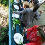 Animations nature avec Arborescence