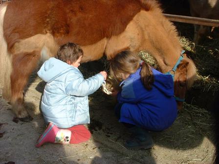 Poney club à la ferme
