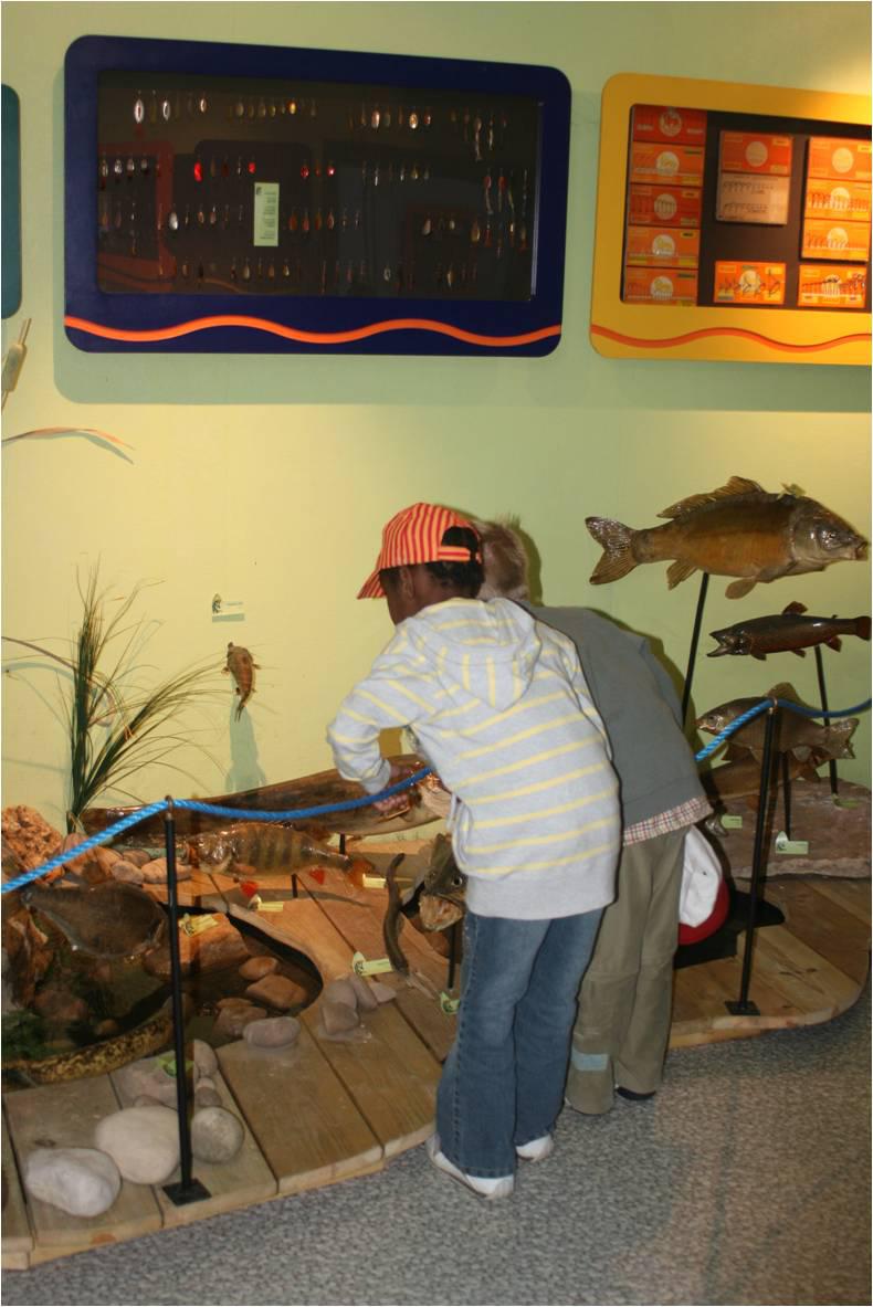 Visite de la Maison de l'eau, de la pêche et de la nature
